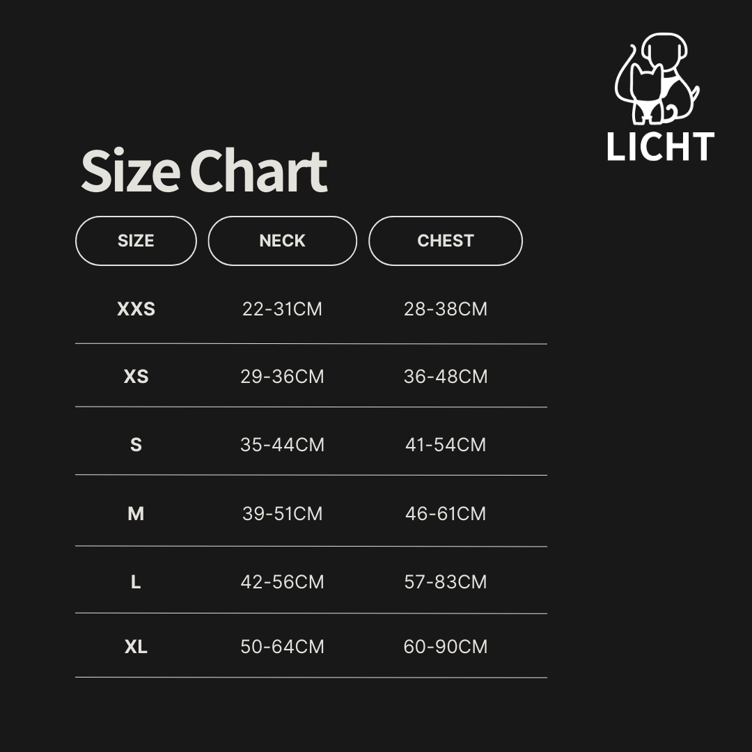 Holly Night | Winter 2023